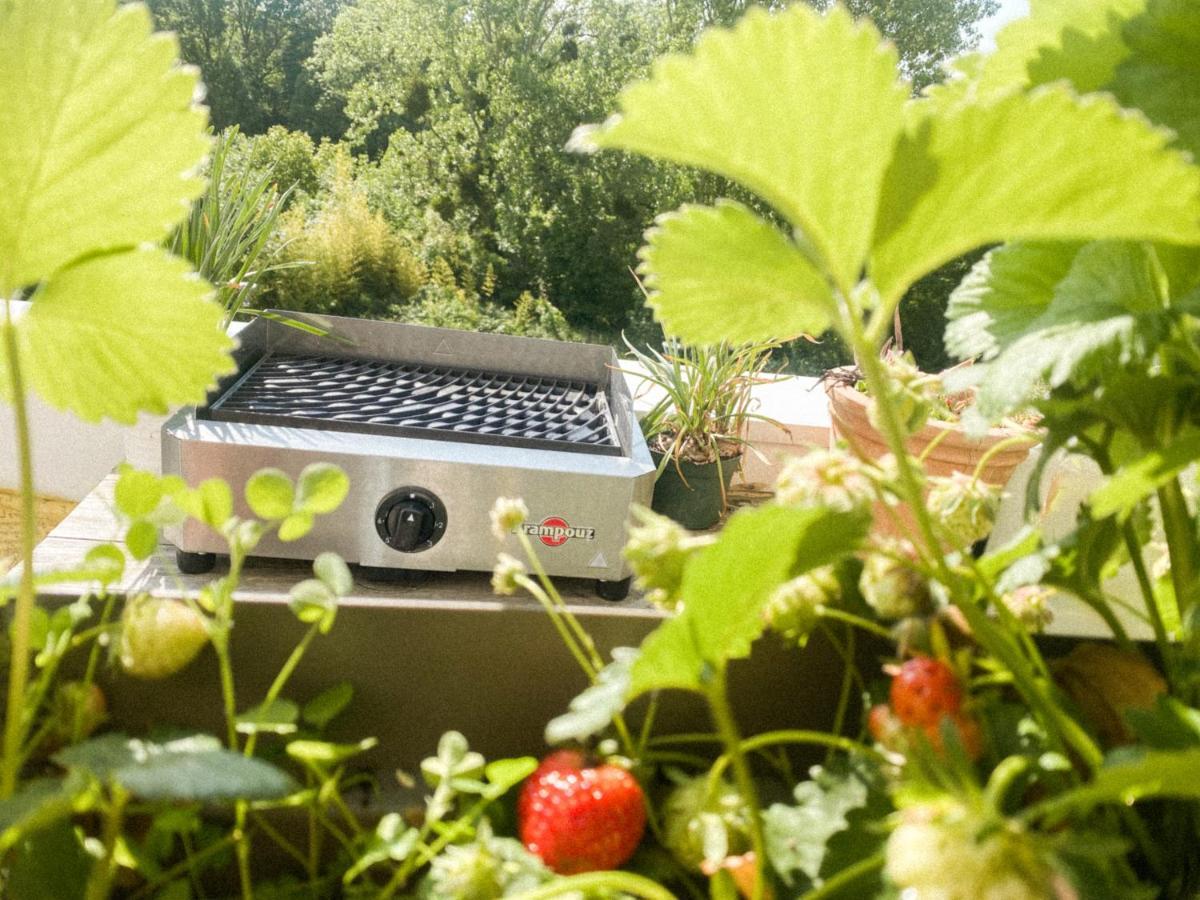L'Olympique: Appartement Cosy, Vue Canal Grande Terrasse Et Parking Vaires-sur-Marne エクステリア 写真